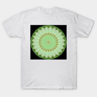 Cabbage Flower Mandala T-Shirt